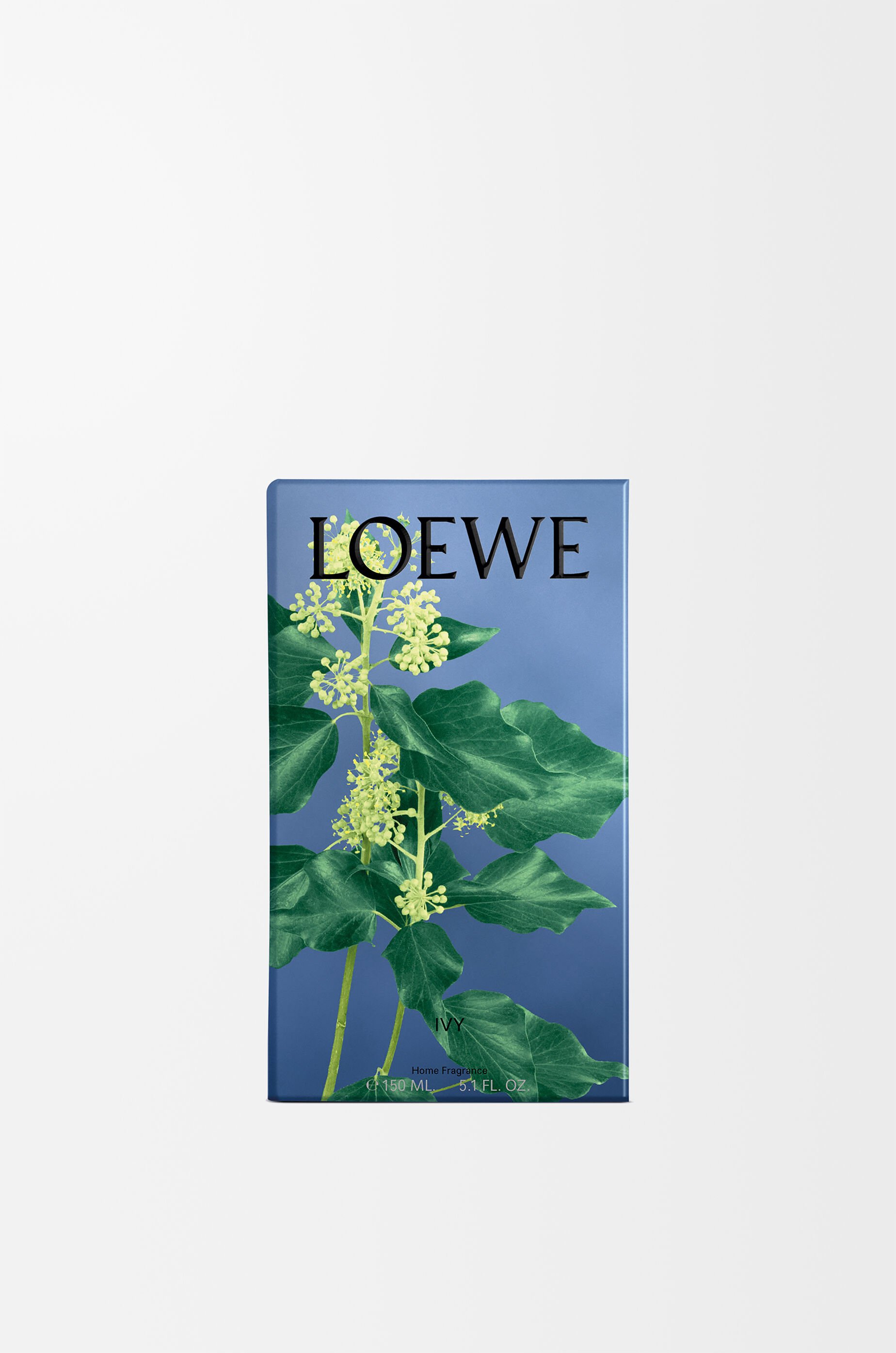 値頃 アイビー LOEWE - ピンク ルームスプレー その他