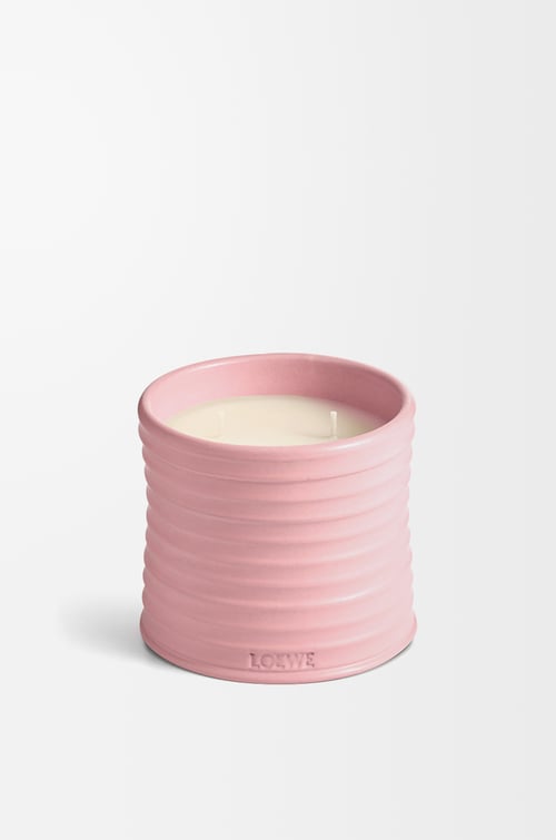 LOEWE Vela mediana Ivy Rosa Claro