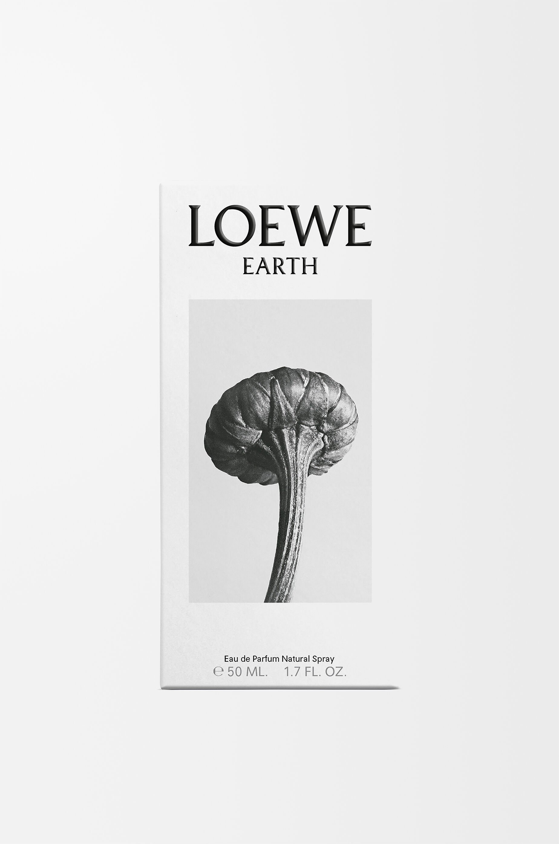 ロエベ アース オードゥ パルファム 50ml パープル - LOEWE