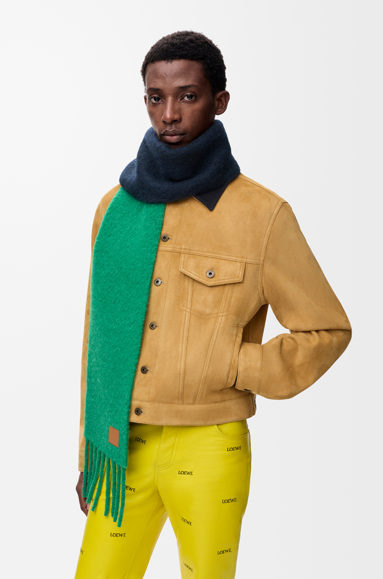 LOEWE Bufanda en mezcla de alpaca y lana Verde/Azul Marino