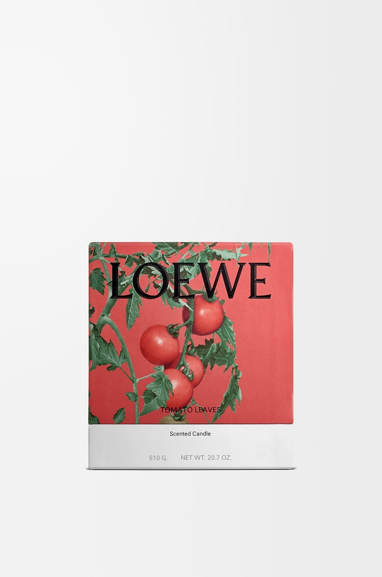 LOEWE トマトリーフ キャンドル ミディアム レッド
