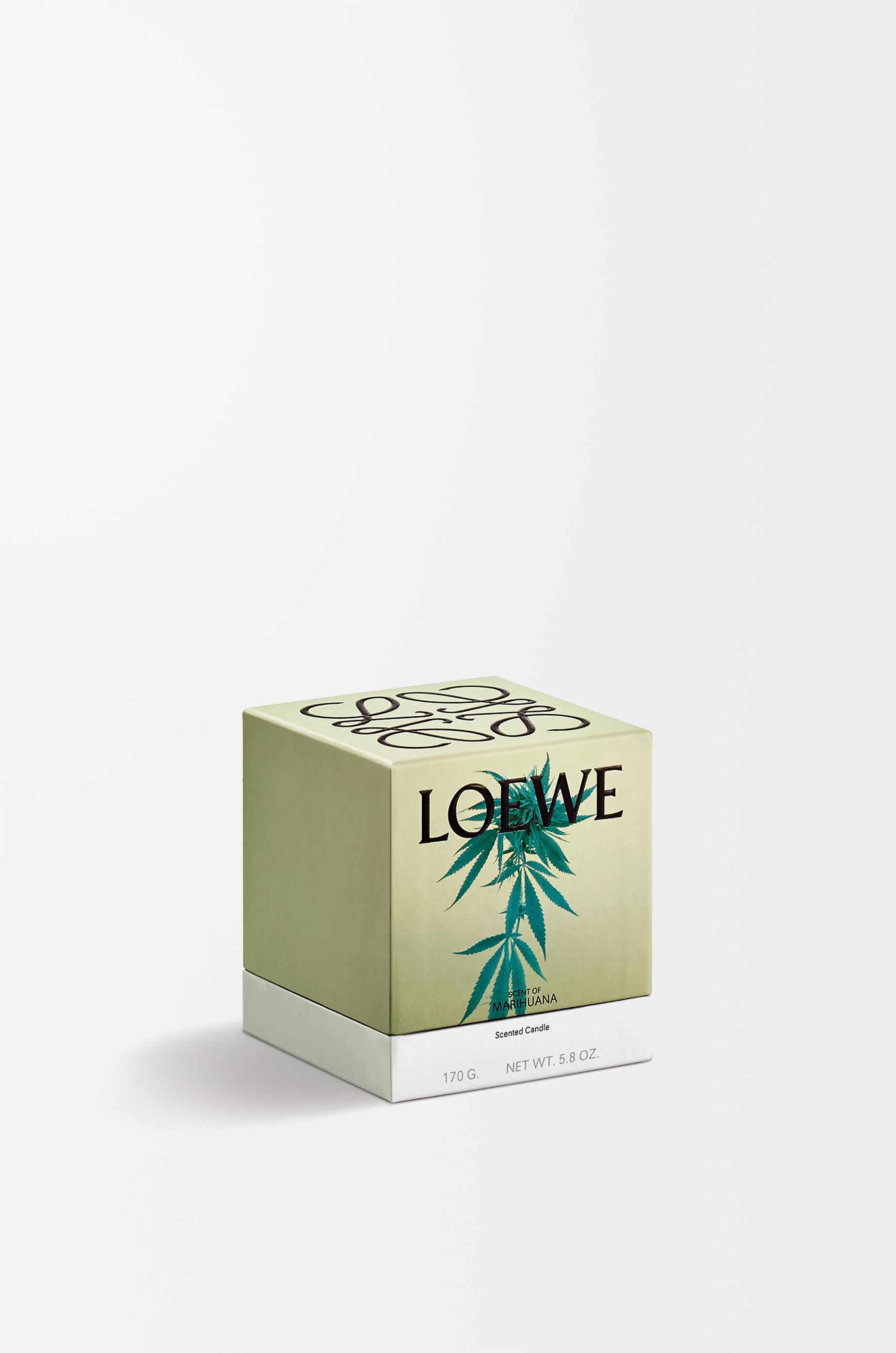 LOEWE Scent of Marihuana candle Dark Green