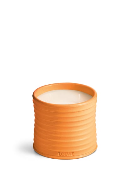 LOEWE Medium Orange Blossom Candle Bright Mandarin