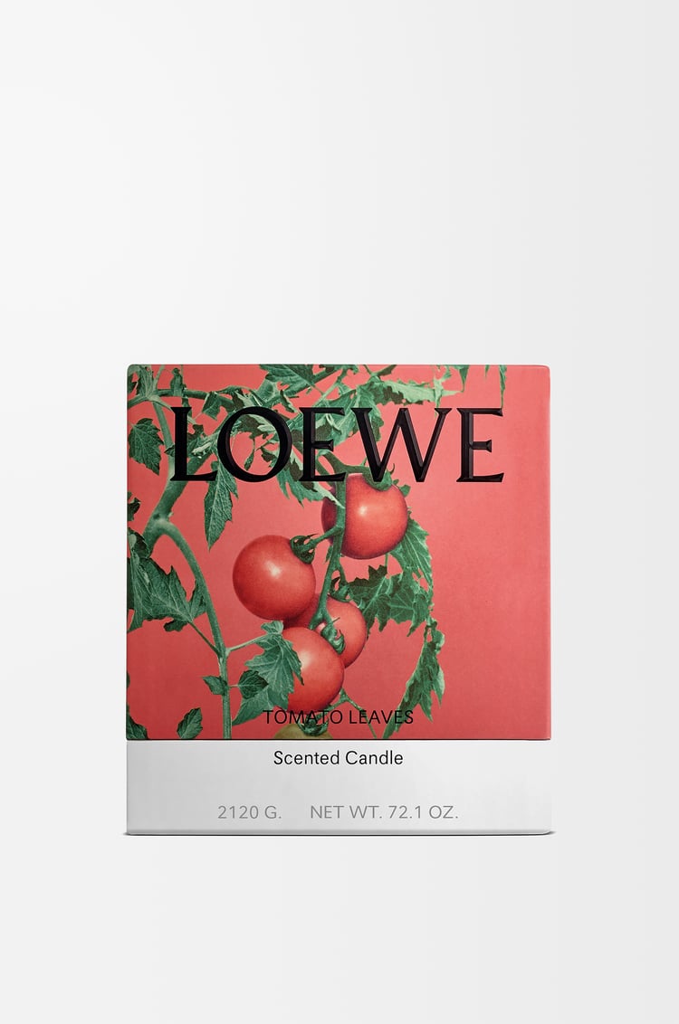 LOEWE Vela grande Tomato Leaves Rojo