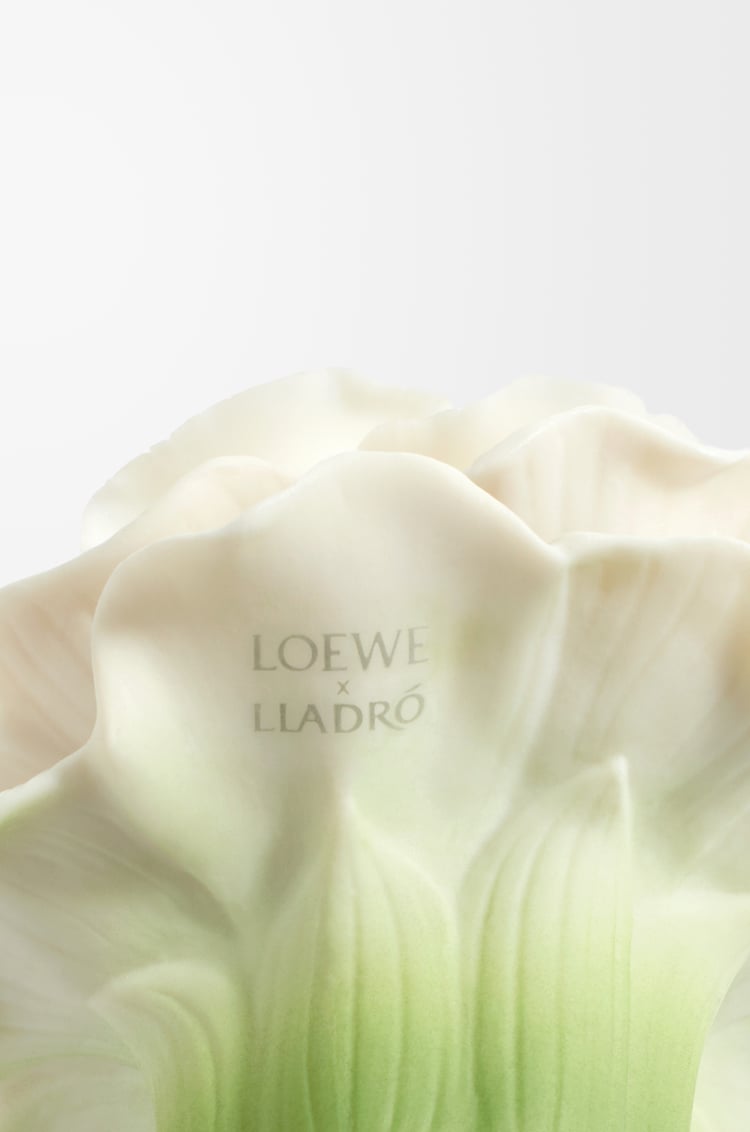 LOEWE LOEWE 001 Woman x LLADRÓ Incoloro