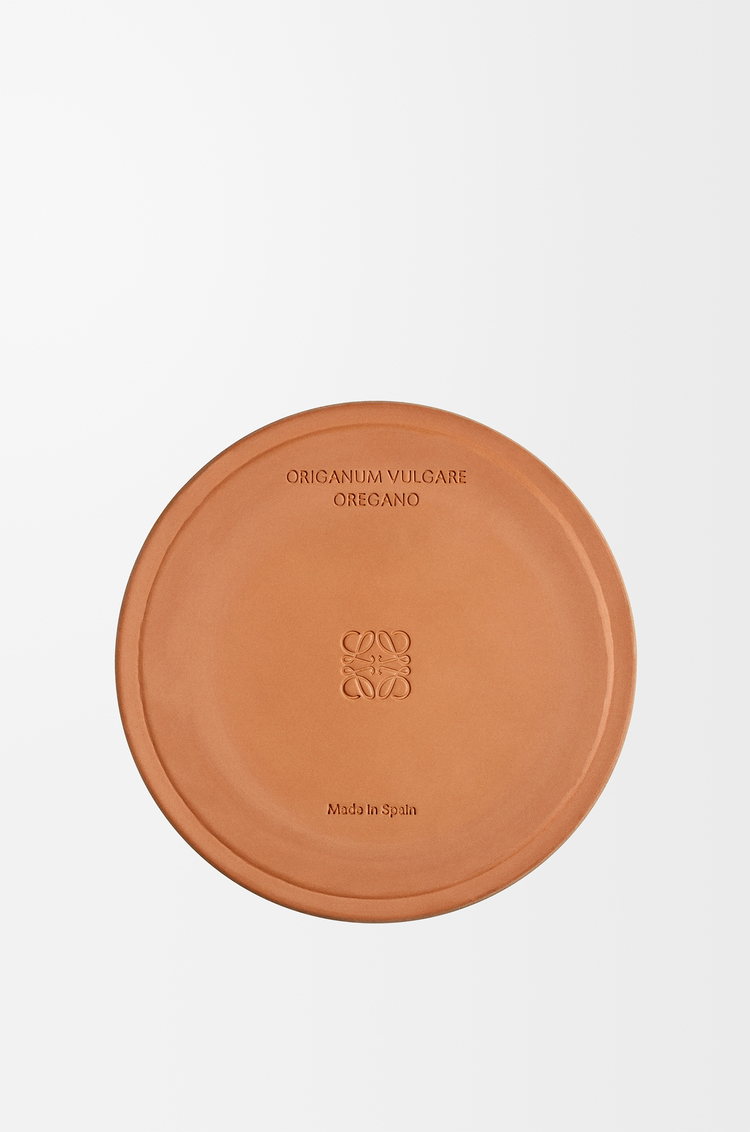LOEWE オレガノ キャンドル ラージ ホワイト