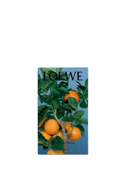 LOEWE Fragancia para el hogar Orange Blossom Mandarina plp_rd