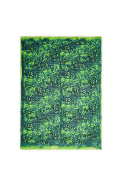 LOEWE Chal en cashmere y seda Verde/Multicolor plp_rd