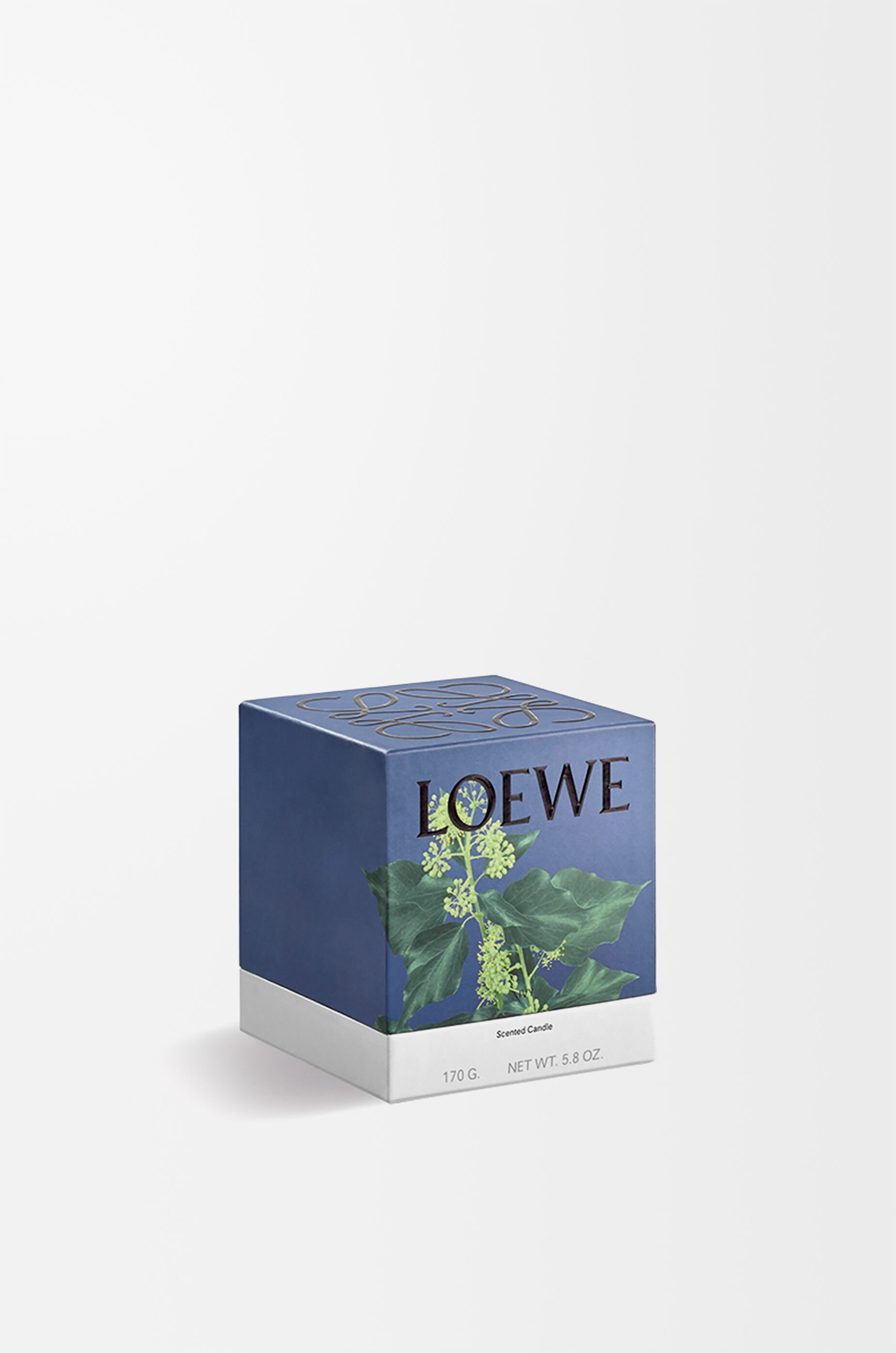 商品画像：ロエベ キャンドル アイビー S（キャンドル）｜LOEWE Perfumes 4