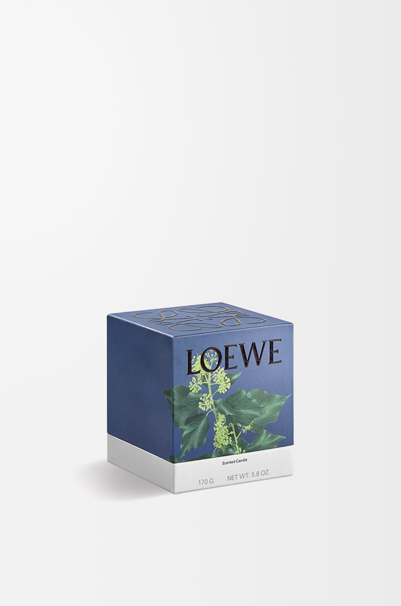 LOEWE Small Ivy candle Light Pink