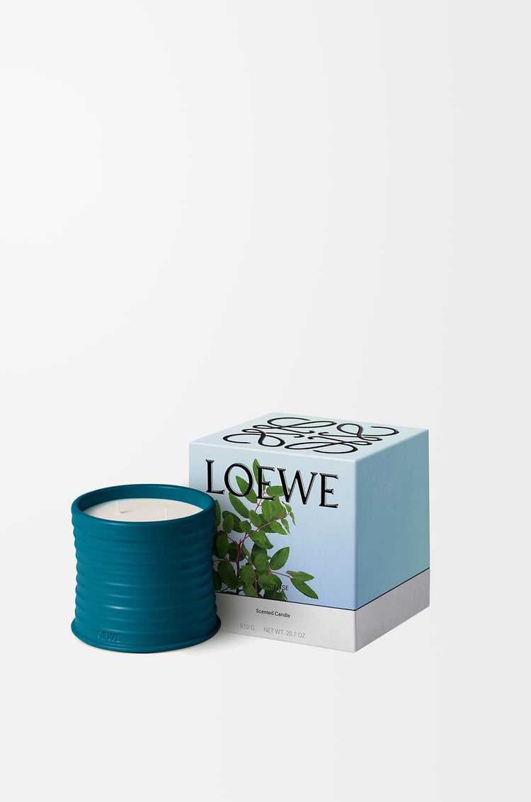 LOEWE Vela mediana Incense Azul Oscuro