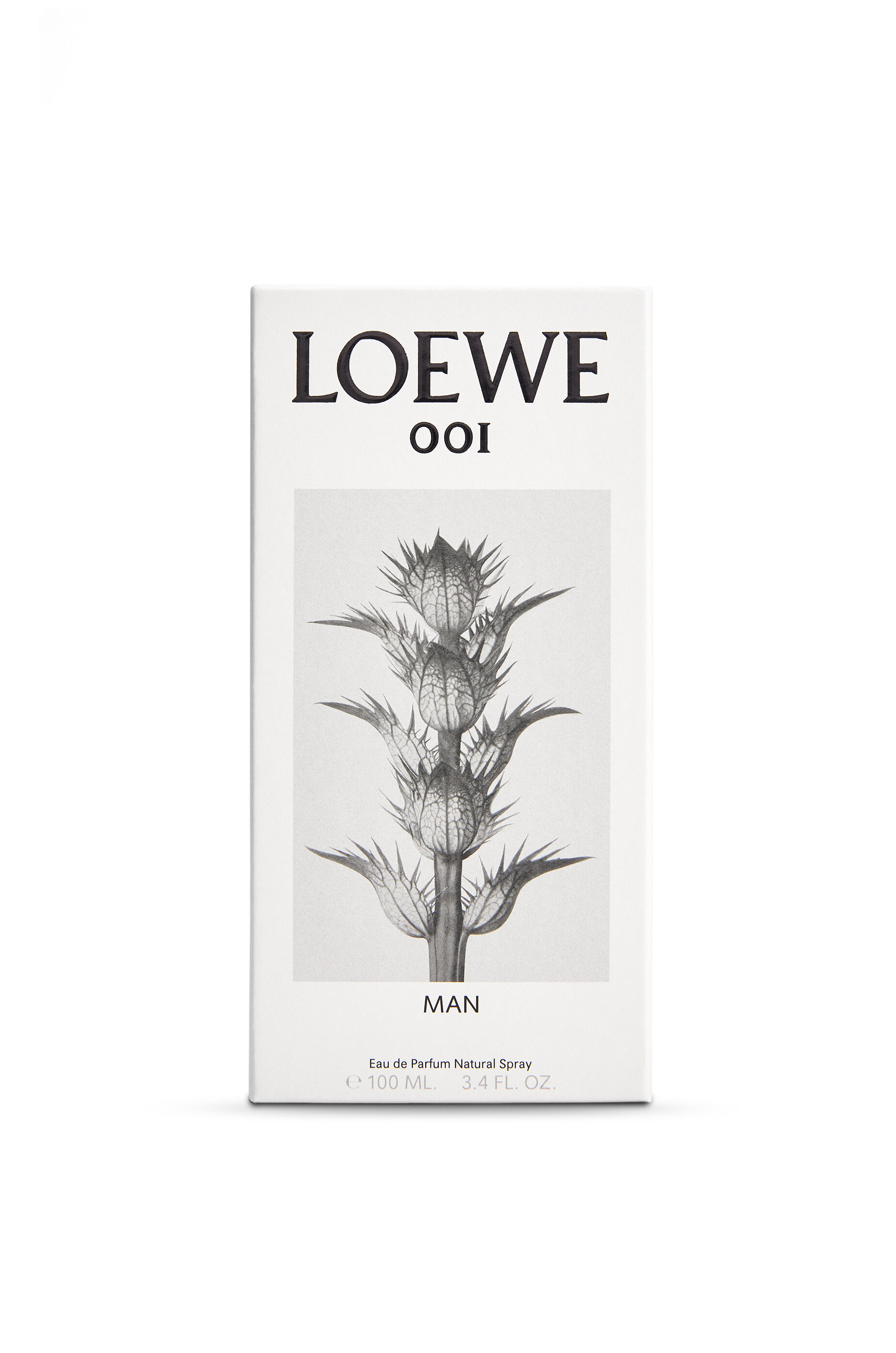 loewe man 001