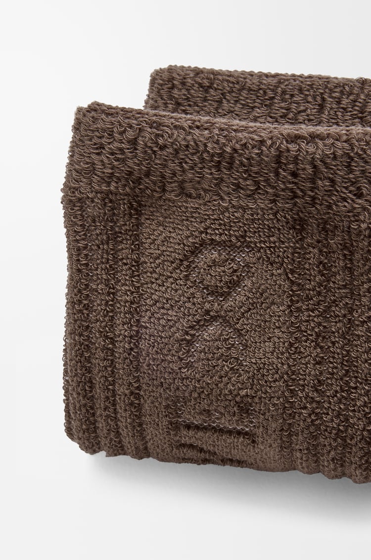 LOEWE Socks in cotton Toffee