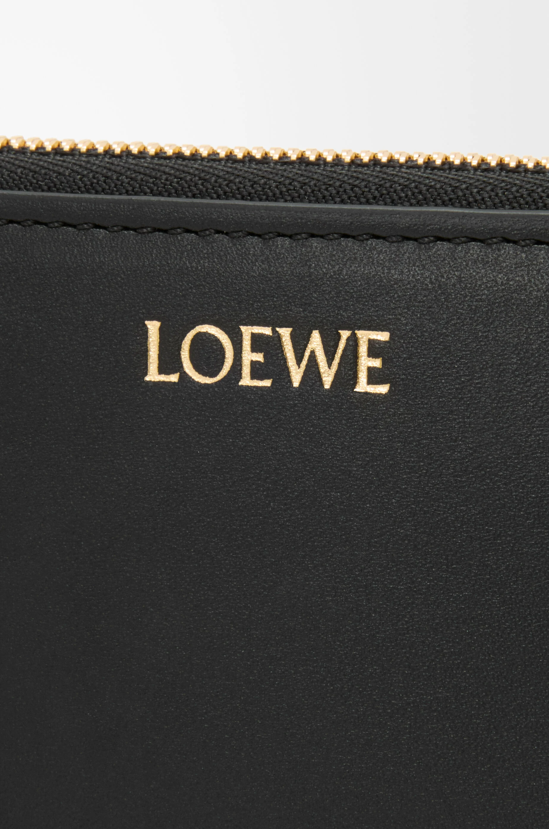 ジップ コインパース（シャイニーナパカーフ） マルチカラー - LOEWE