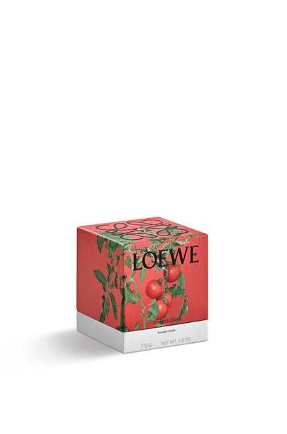LOEWE Tomato Leaves candle 紅色 plp_rd