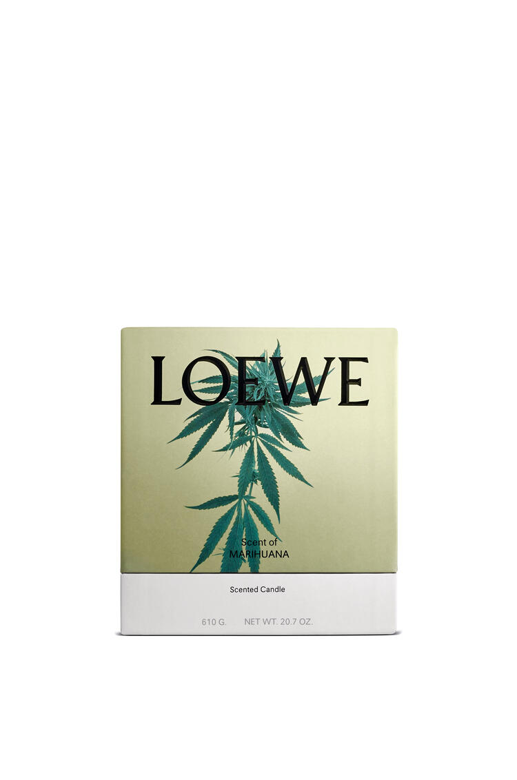 LOEWE Vela mediana Scent of Marihuana Verde Oscuro