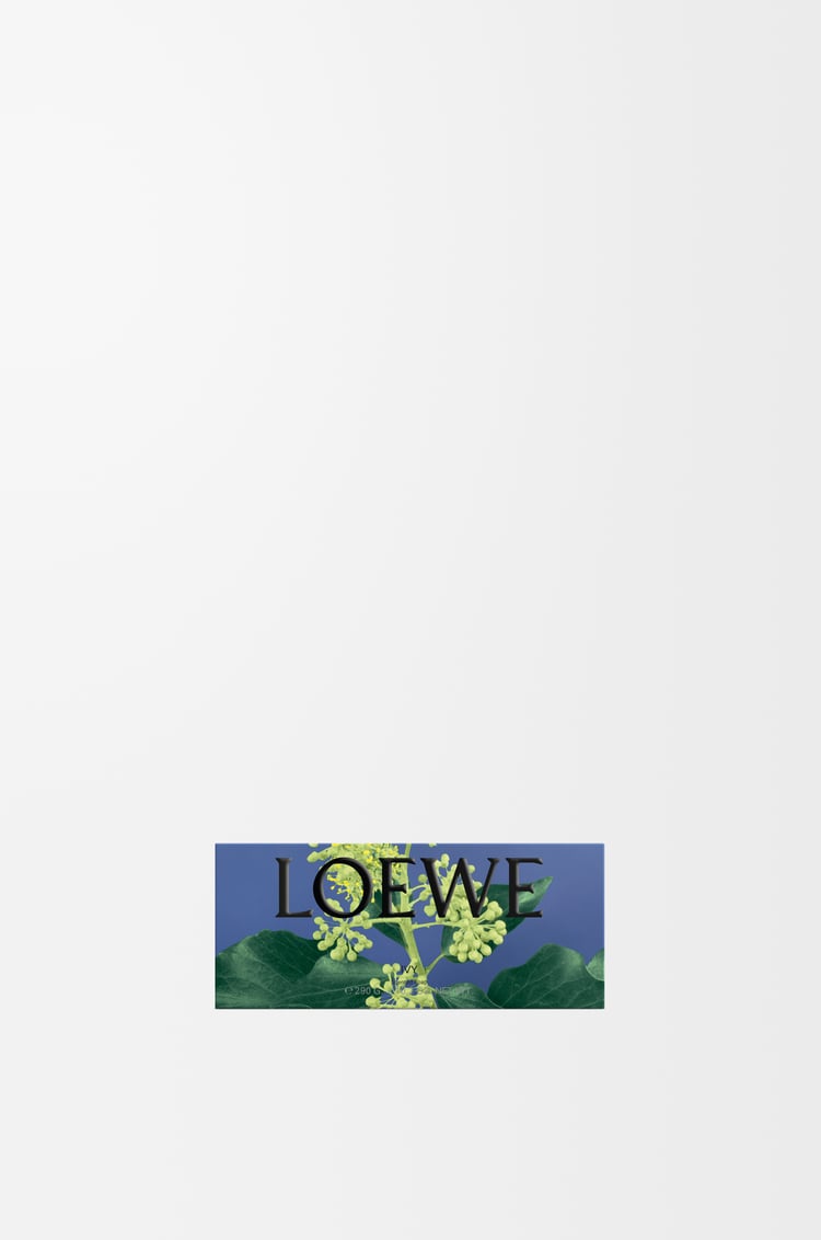 LOEWE Ivy large bar soap Light Pink