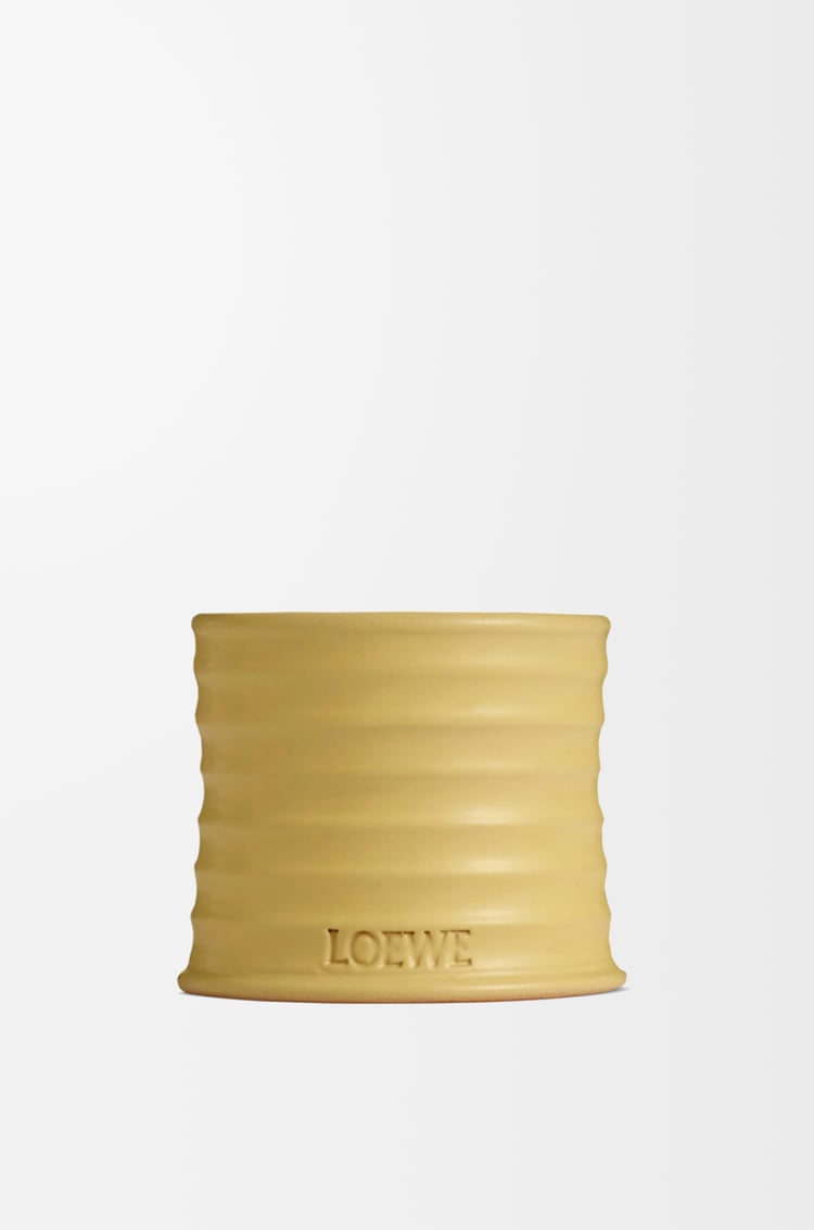 LOEWE 小型忍冬香氛蠟燭 黃色