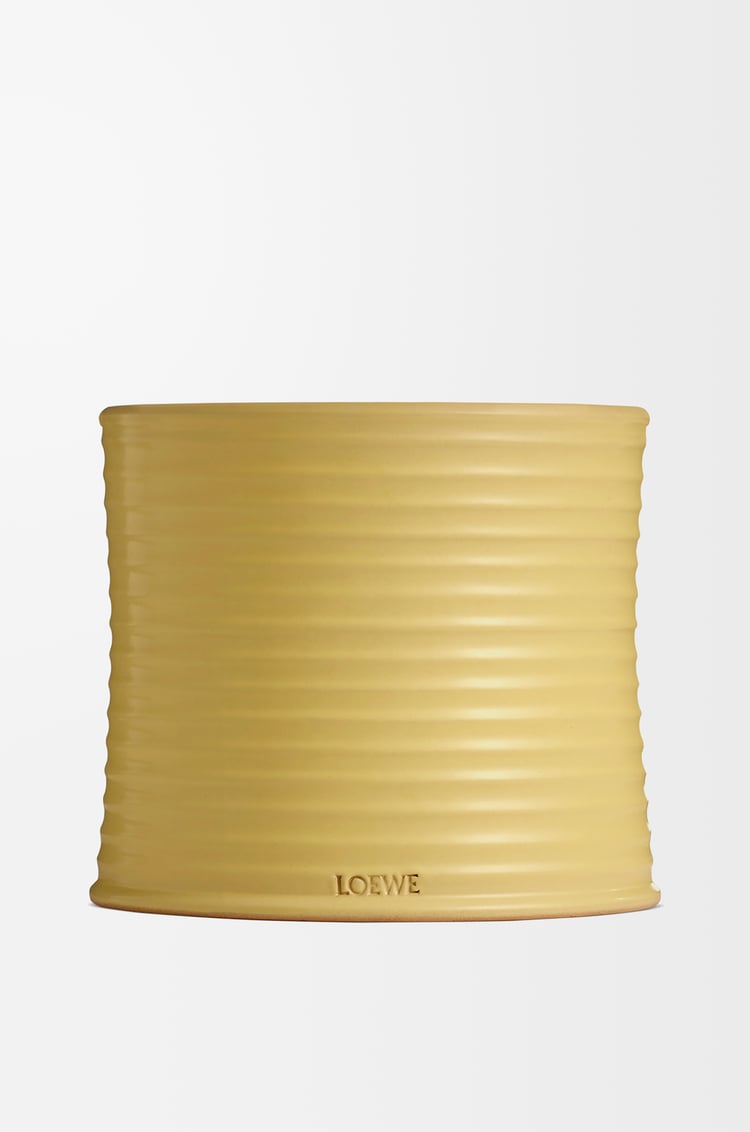 LOEWE Large Honeysuckle candle Yellow