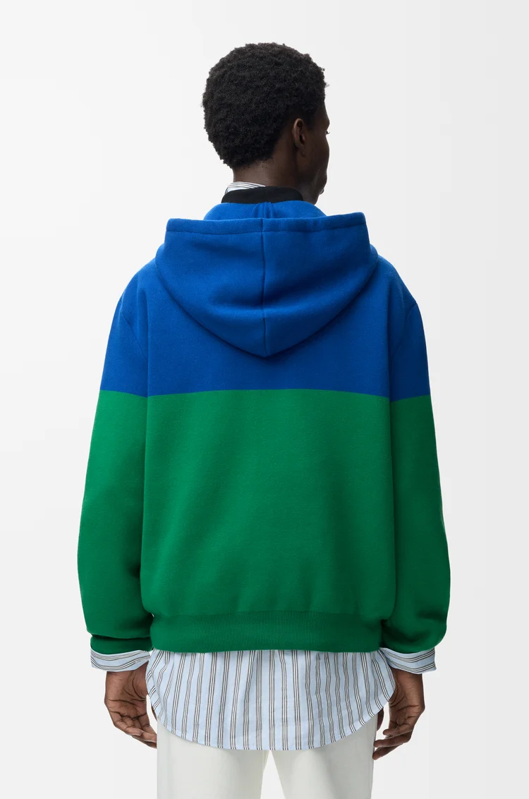 LOEWE Hoodie in cotton blend Blue/Green