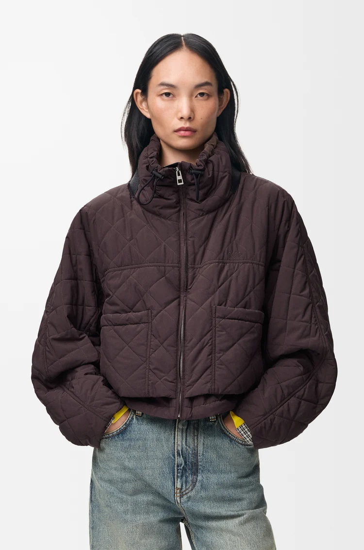 LOEWE Padded jacket in technical shell Brown