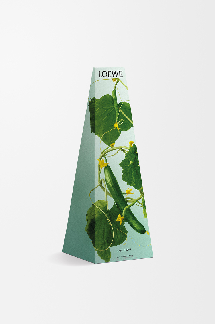 LOEWE Cucumber wax candleholder Light Green