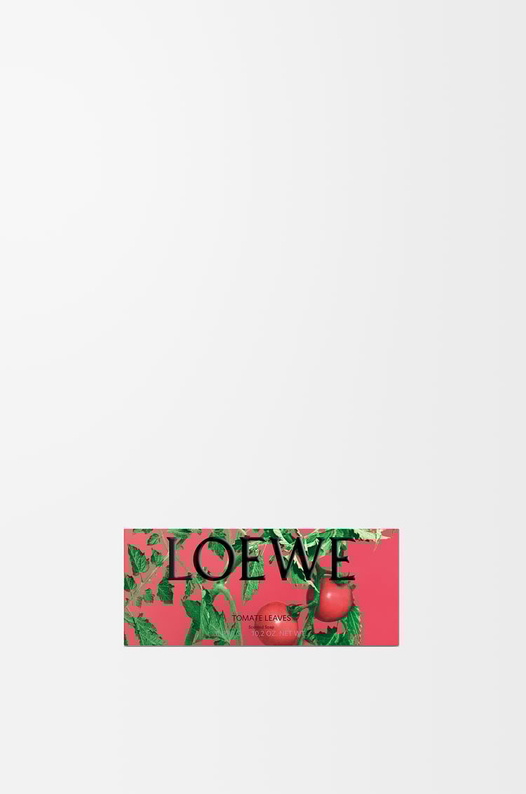 LOEWE トマトリーフ ソープバー ラージ レッド