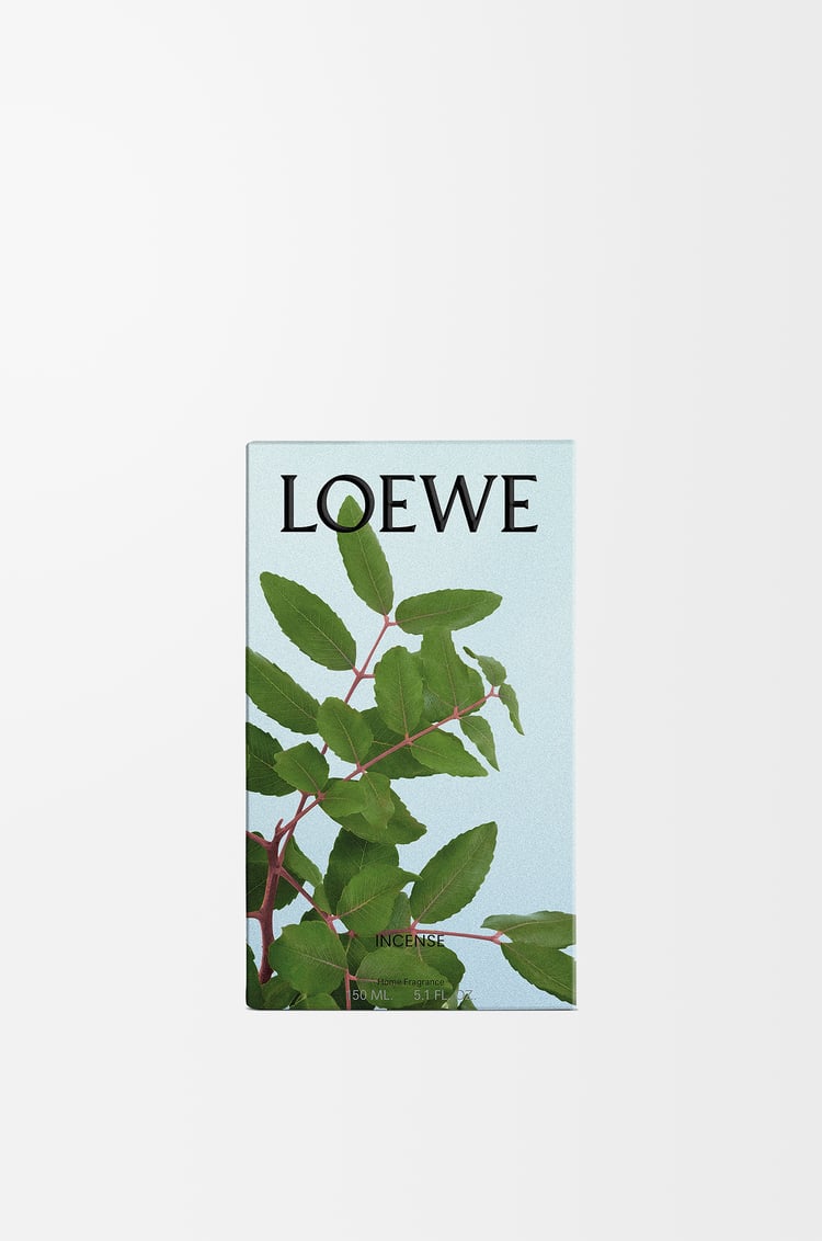 LOEWE Incense room spray Dark Blue