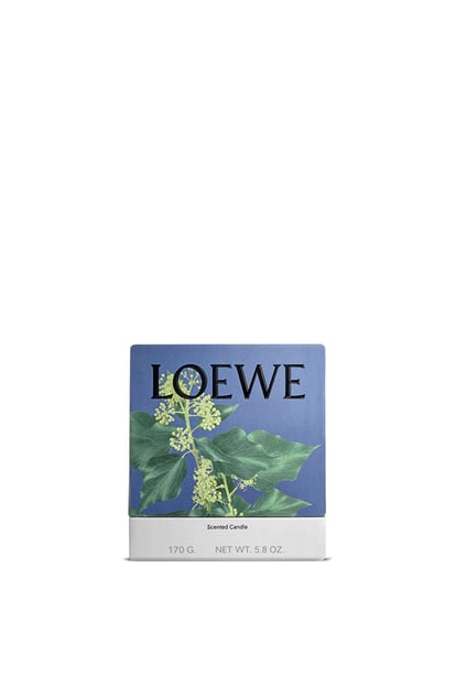 LOEWE Ivy candle 淺粉紅 plp_rd