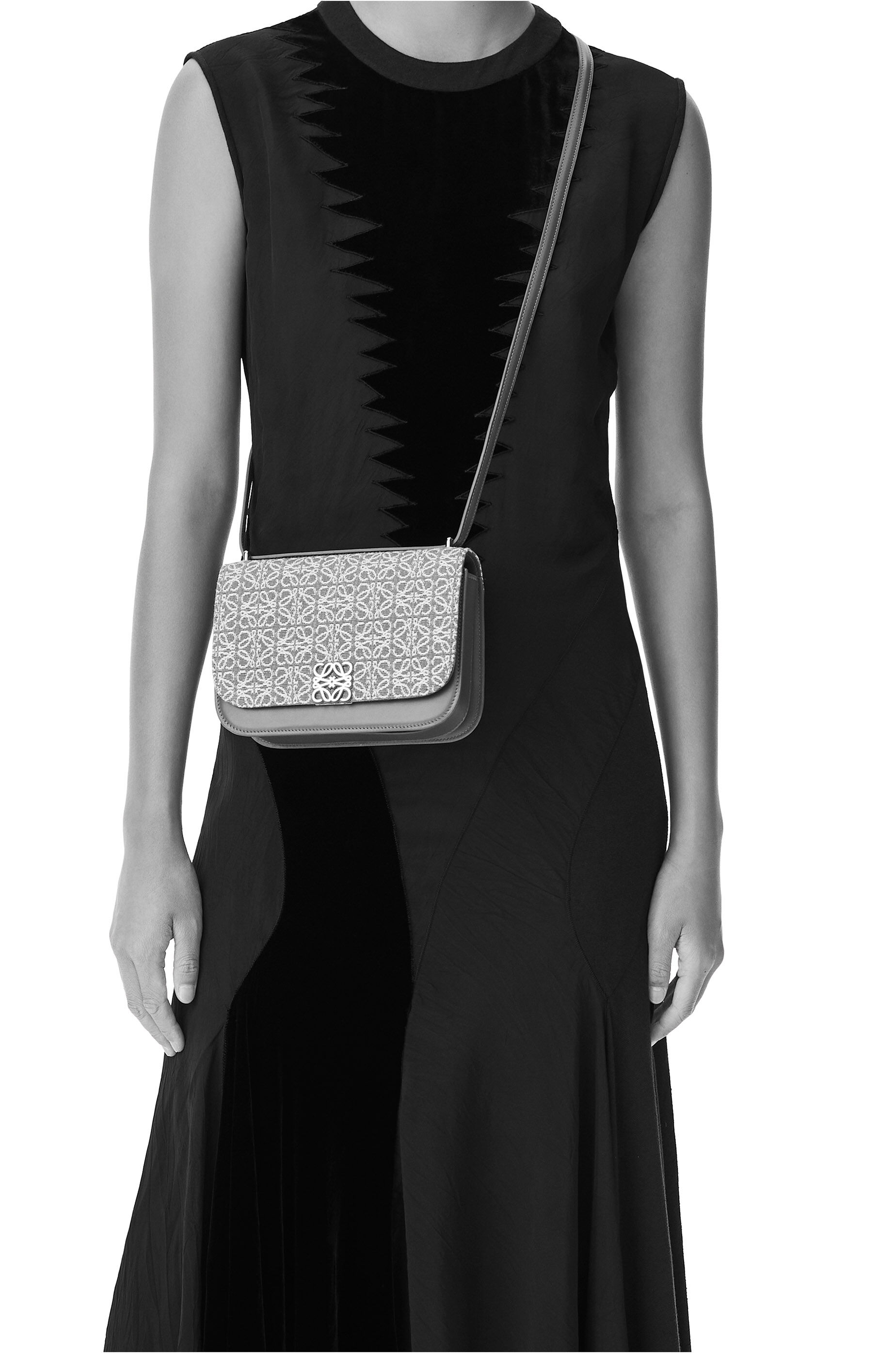 loewe goya bag 2021