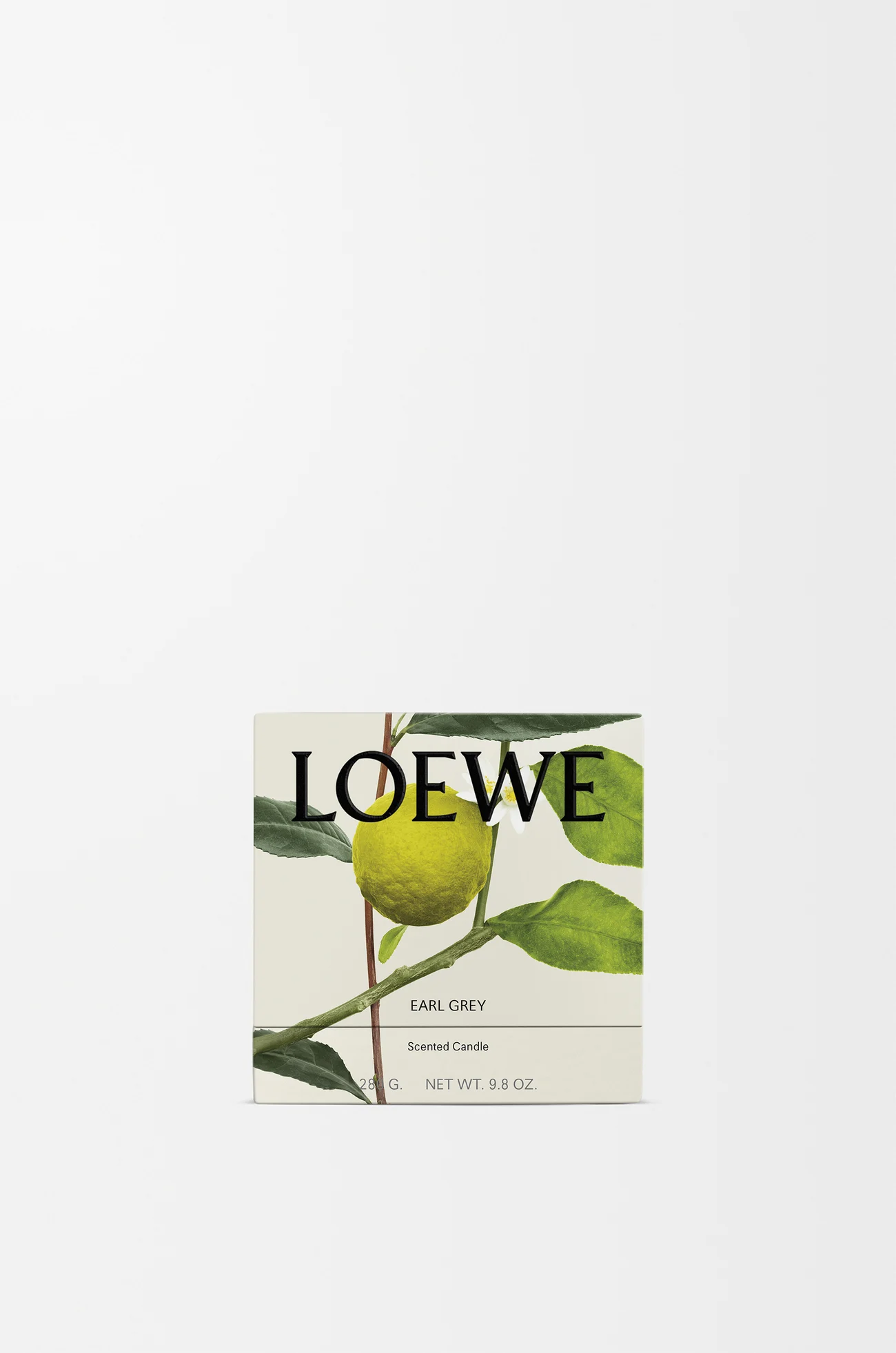 LOEWE Petite bougie parfumée Earl Grey Doré