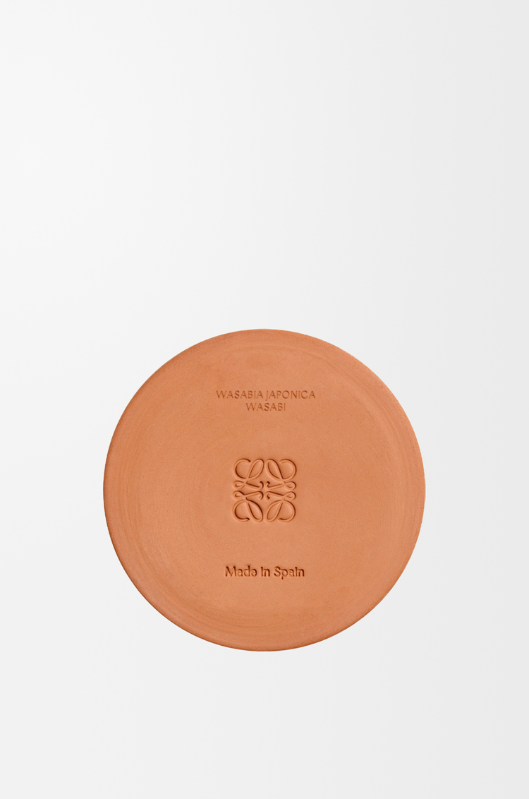 LOEWE ワサビ キャンドル ミディアム イエロー