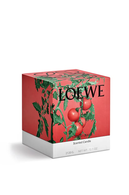 LOEWE Large Tomato Leaves candle 紅色 plp_rd