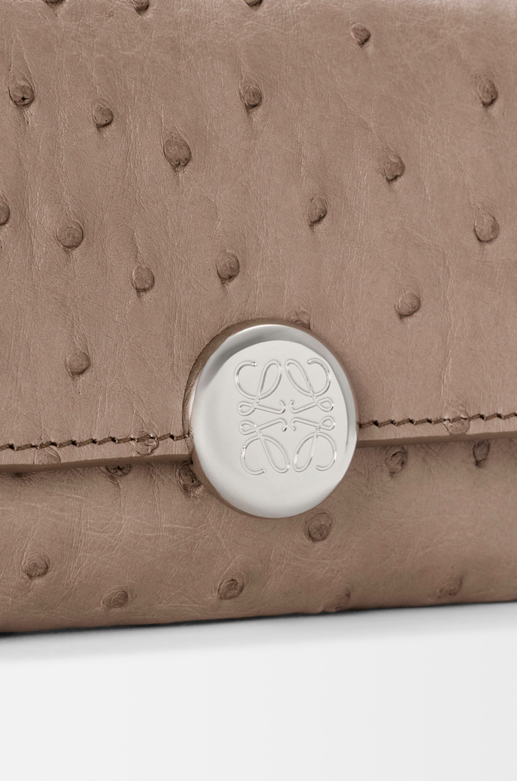 LOEWE ペブル バーティカル ウォレット スモール（オーストリッチ） ダークトープ