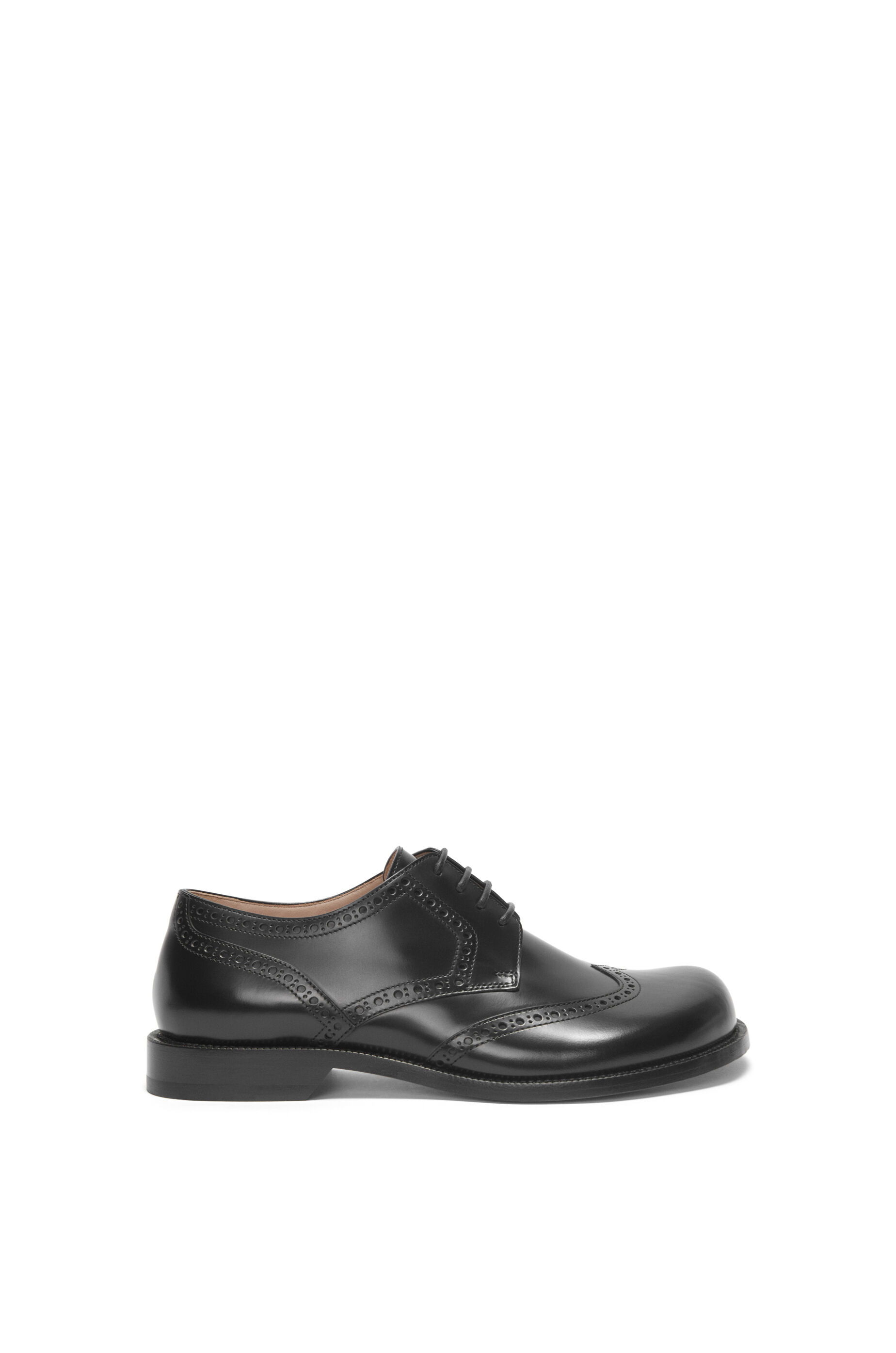 Campo brogue derby in brushed calfskin Black LOEWE