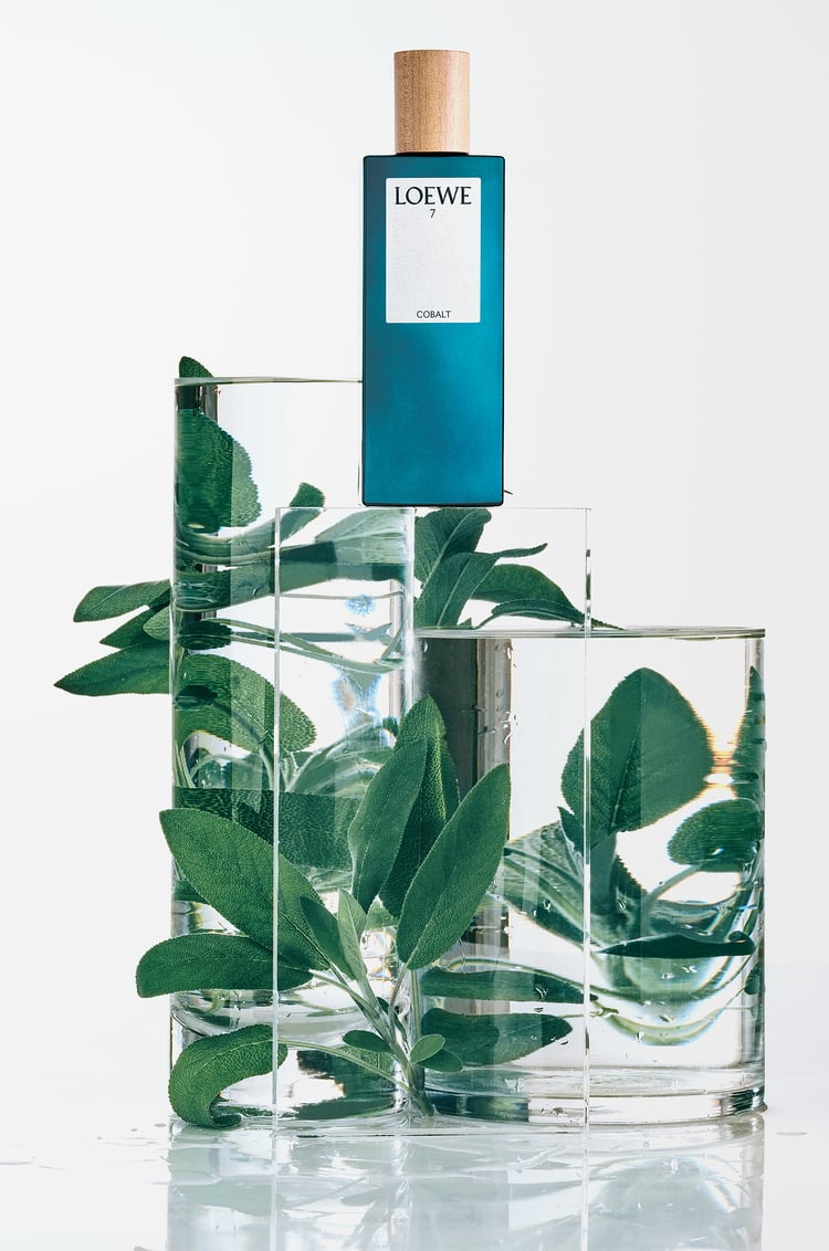 LOEWE LOEWE 7 Cobalt Eau de Parfum 50ml Colourless