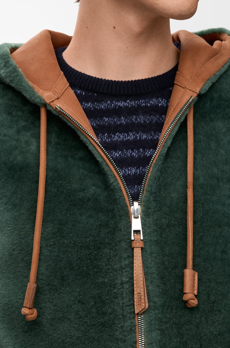 LOEWE Felpa con cappuccio in shearling Marrone/Verde Scuro