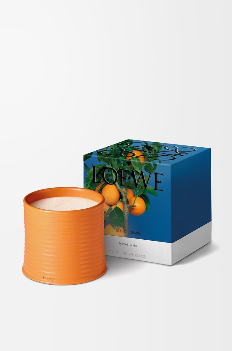 LOEWE Large Orange Blossom candle Bright Mandarin