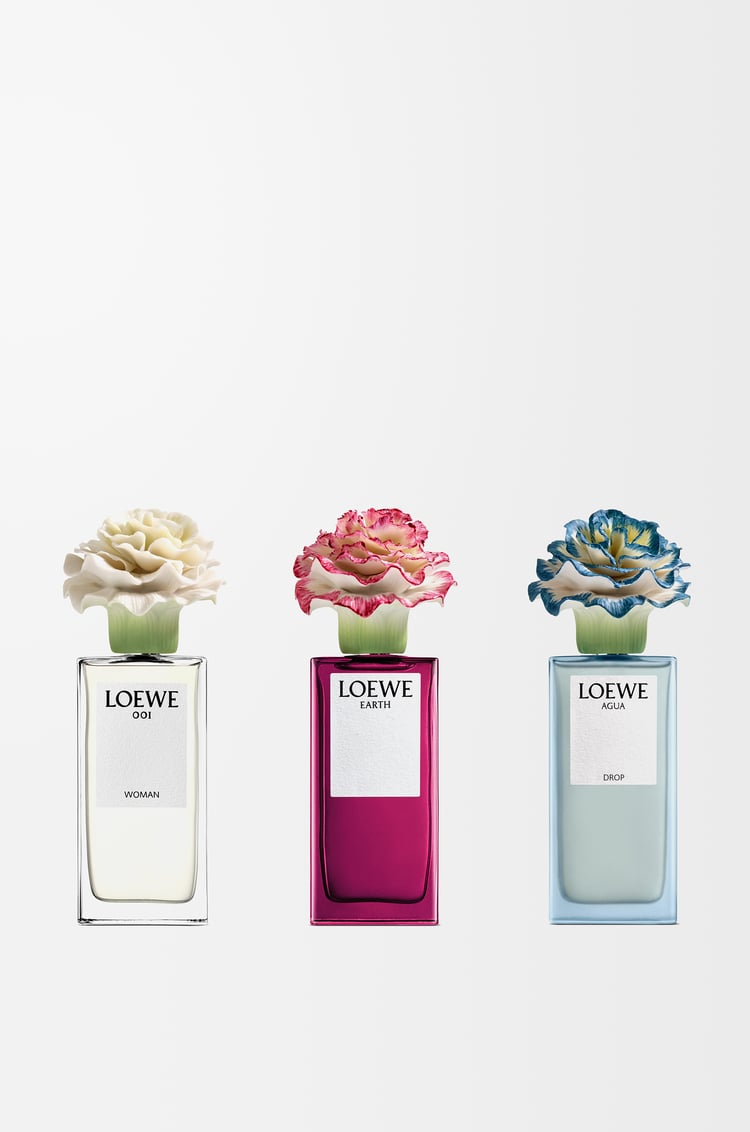 LOEWE LOEWE Earth x LLADRÓ Colourless