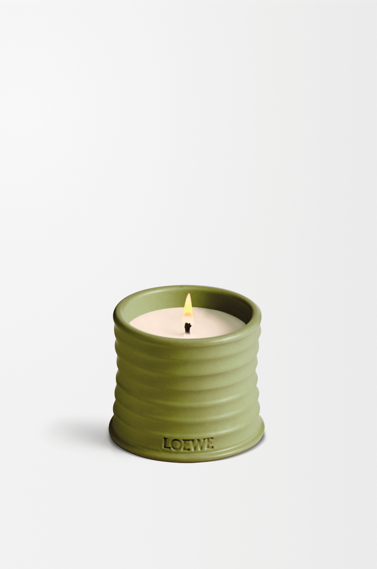 LOEWE ピスタチオ キャンドル スモール ピスタチオ