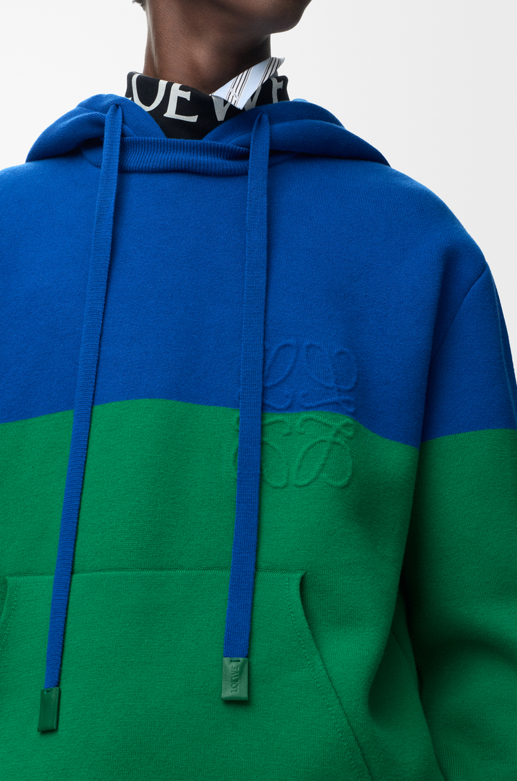 LOEWE Hoodie in cotton blend Blue/Green