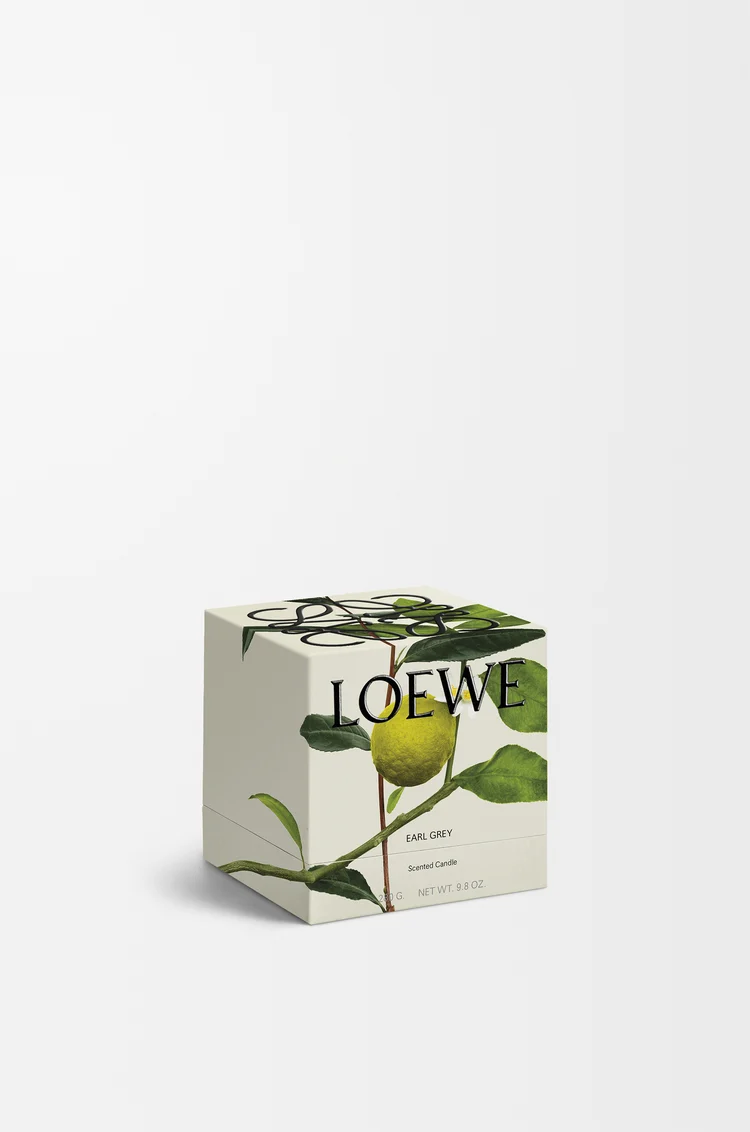 LOEWE Petite bougie parfumée Earl Grey Doré