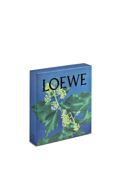 LOEWE Ivy Incense Set 淺粉紅 plp_rd