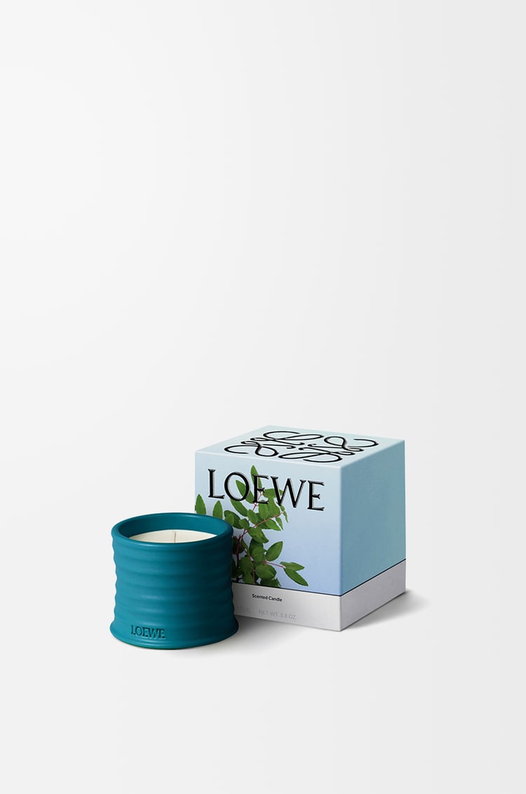 LOEWE Small Incense candle Dark Blue