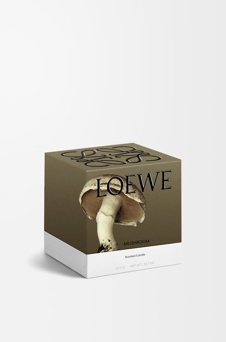 LOEWE Medium Mushroom candle Light Grey