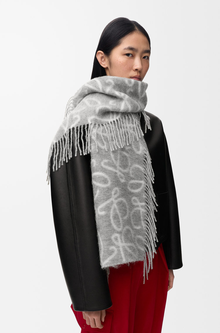LOEWE Écharpe en alpaga et laine Gris Clair/Blanc