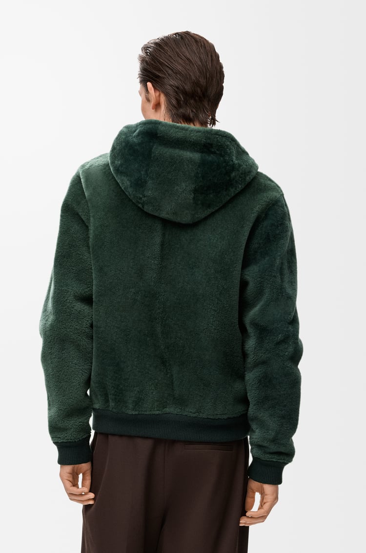 LOEWE Felpa con cappuccio in shearling Marrone/Verde Scuro