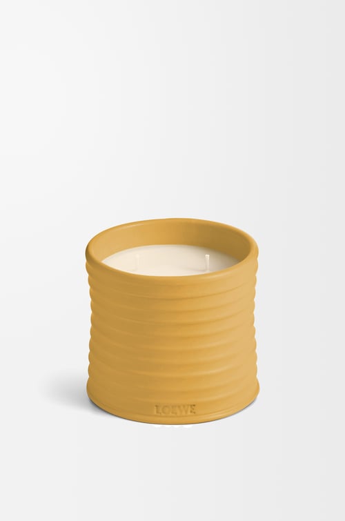 LOEWE Medium Wasabi candle Yellow