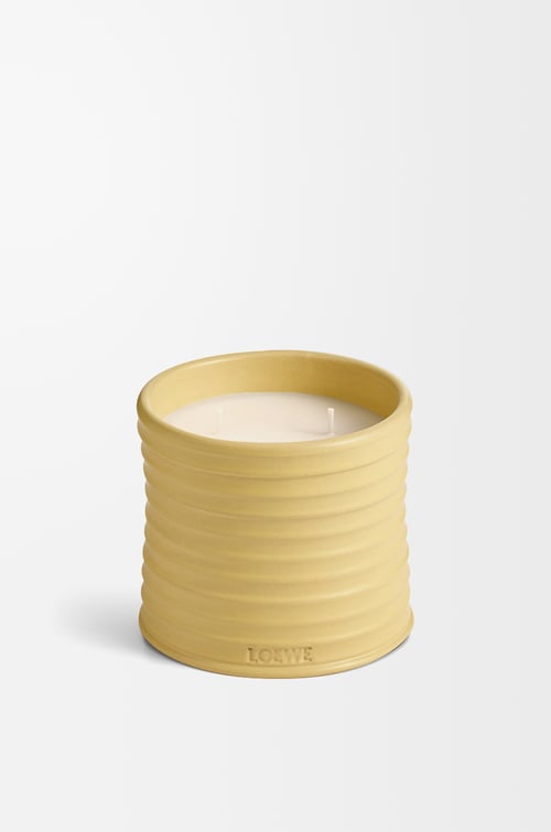 LOEWE Vela mediana Honeysuckle Amarillo