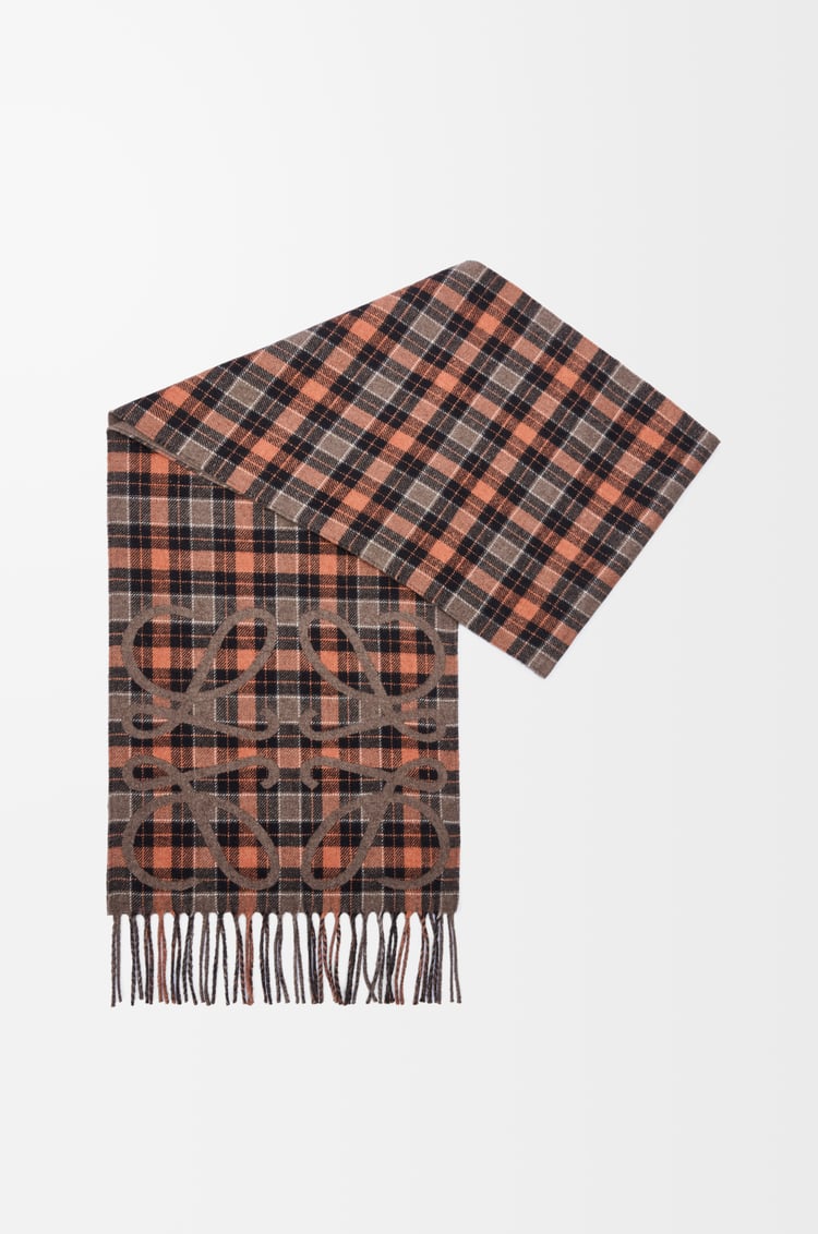 LOEWE Bufanda Anagram en seda y cashmere Marrón/Multicolor